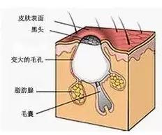 微信图片_20191021103528.jpg